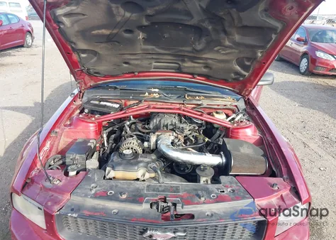 2007 Ford Mustang V6 Deluxe/V6 Premium from USA, damaged, VIN 1ZVFT80N875333293